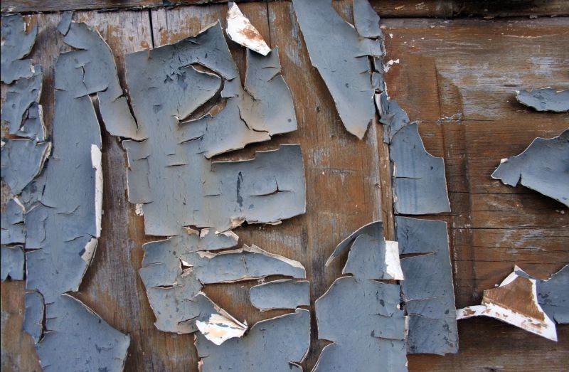 Wood Paint Removal